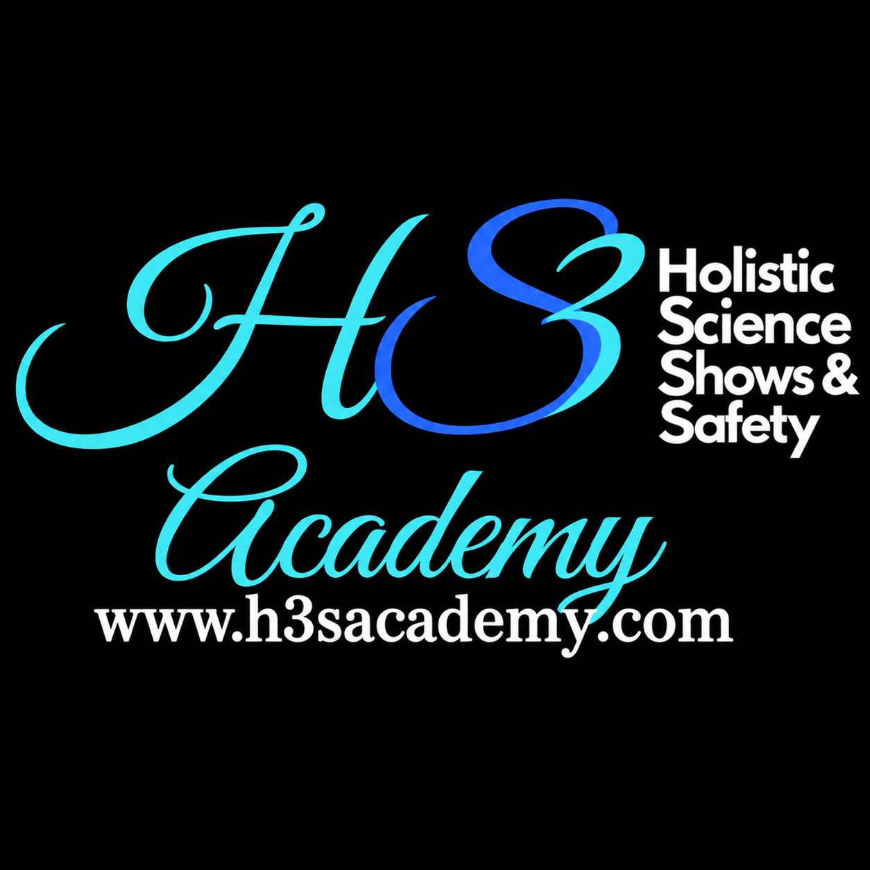 H3S Academy
